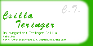 csilla teringer business card